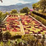 Jardin botanique Funchal cliché : Frédéric Négrerie