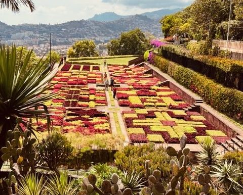 Jardin botanique Funchal cliché : Frédéric Négrerie
